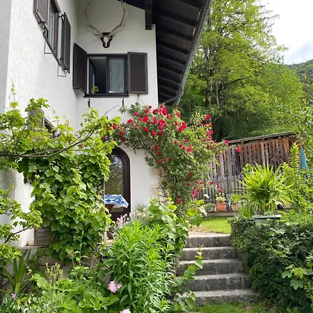 Apartment Laimer, Radau 37