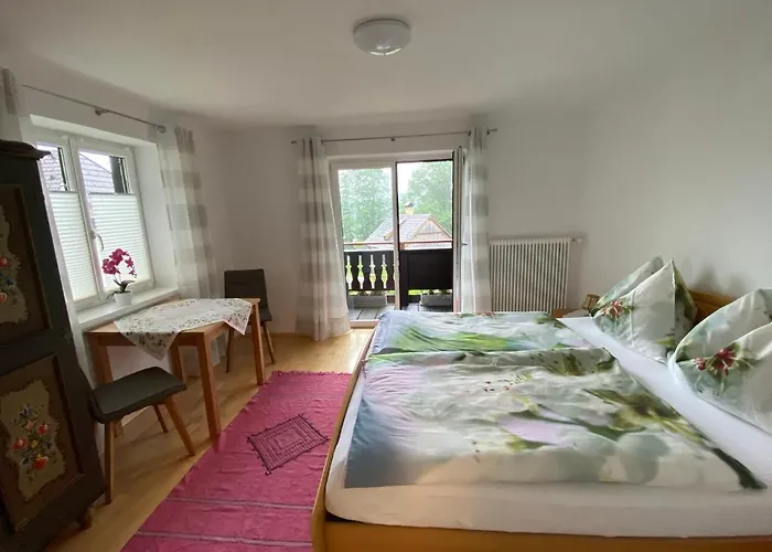 Daire Laimer, Radau 37 *