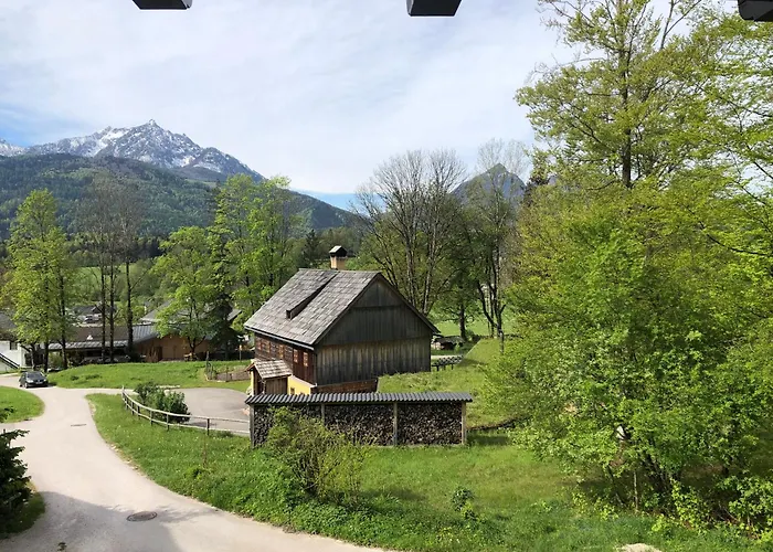 Daire Laimer, Radau 37